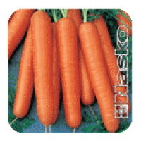 Семена моркови АССОЛЬ