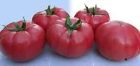 Томат РОЗАРИО F1 (500 семян) Гавриш