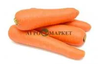 Морковь Лагуна F1 1.6-1.8 (25 000 с) Nunhems